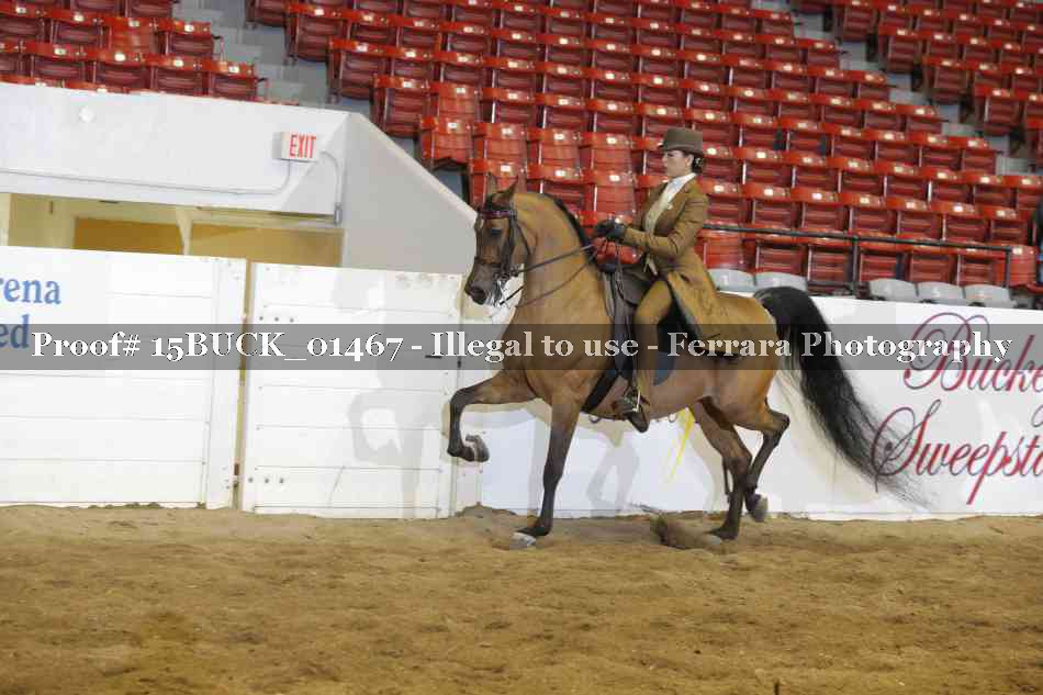 Proof 15BUCK_01467