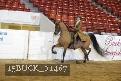 15BUCK_01467 proof