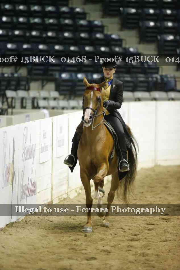 Proof 15BUCK_01468
