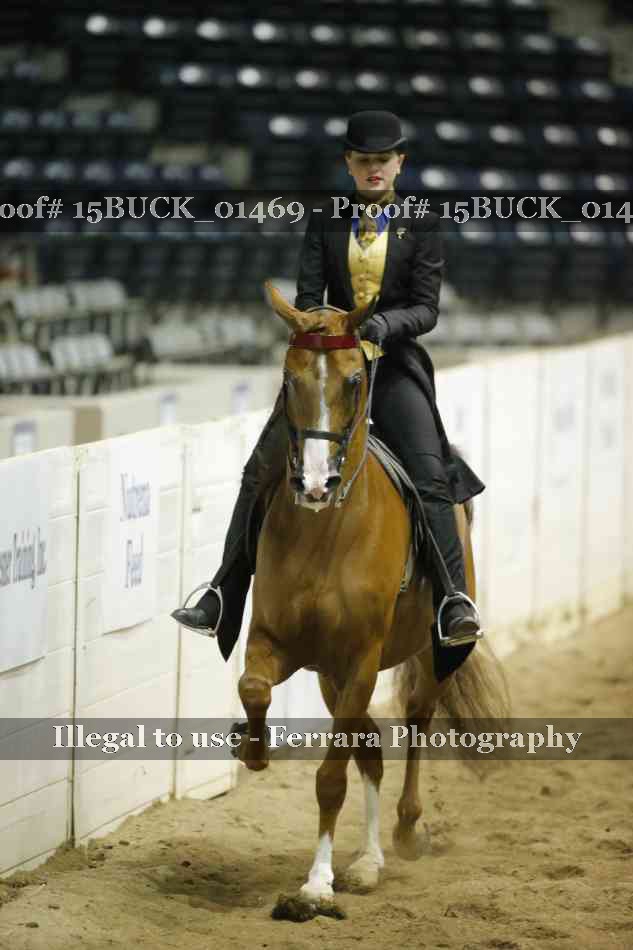 Proof 15BUCK_01469