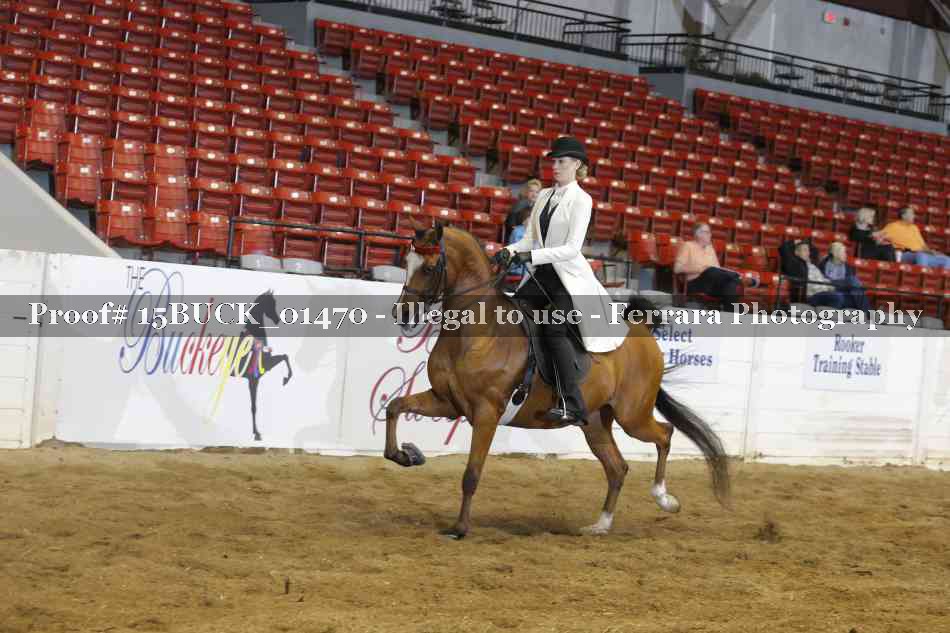 Proof 15BUCK_01470