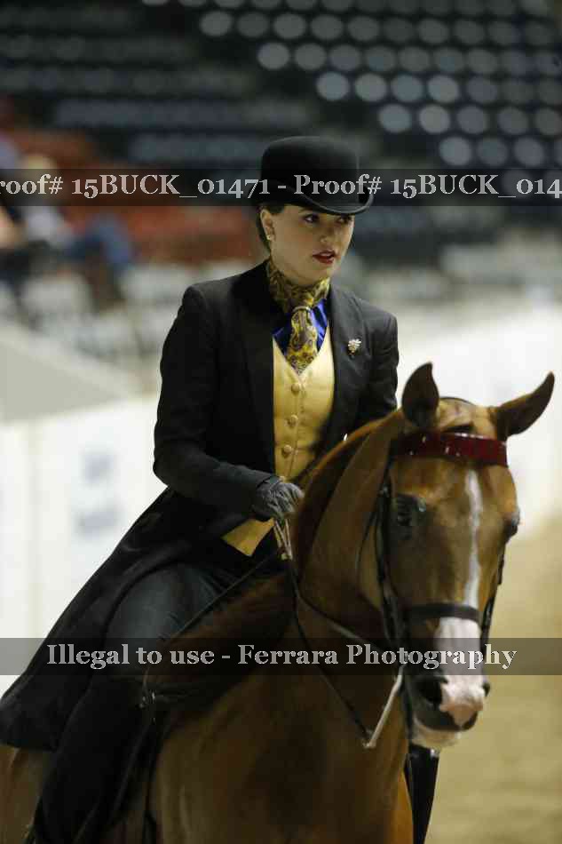 Proof 15BUCK_01471