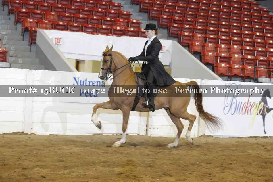 Proof 15BUCK_01472