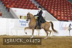 15BUCK_01472 proof