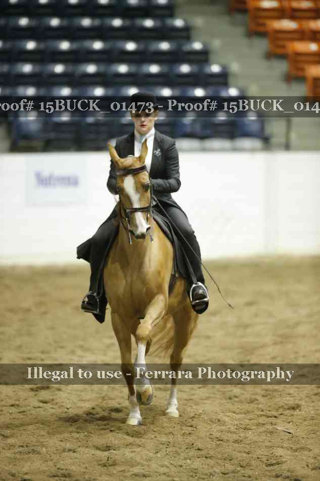 Proof 15BUCK_01473
