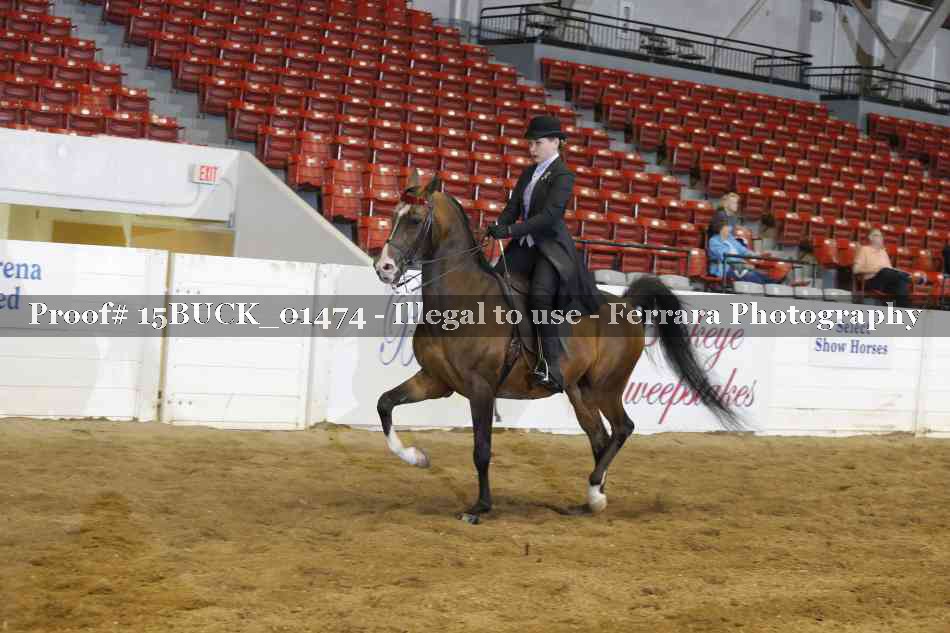 Proof 15BUCK_01474