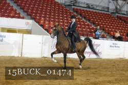 15BUCK_01474 proof