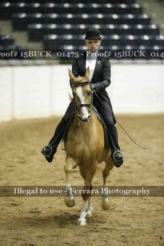 Proof 15BUCK_01475