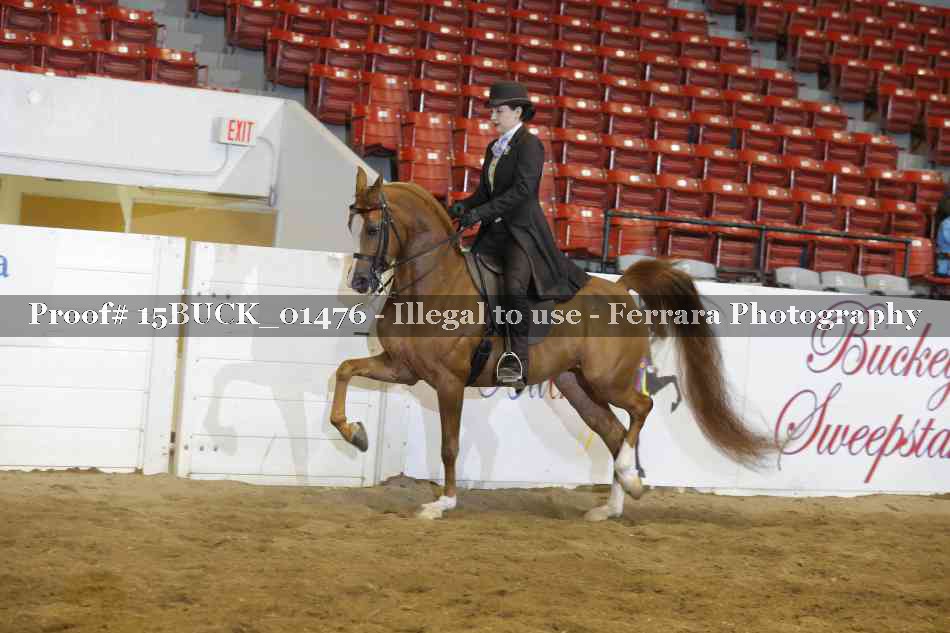 Proof 15BUCK_01476