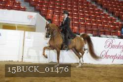 15BUCK_01476 proof
