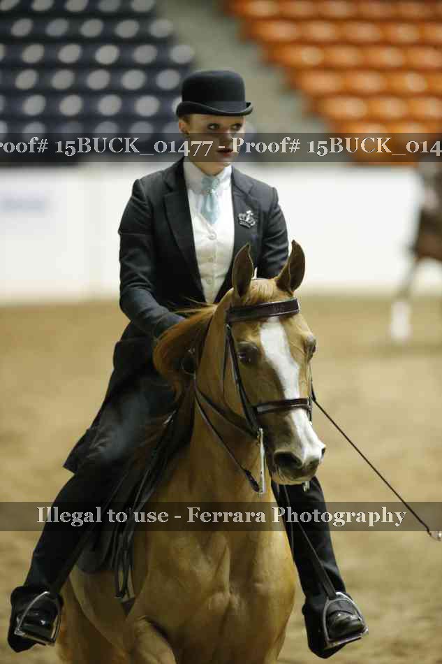 Proof 15BUCK_01477