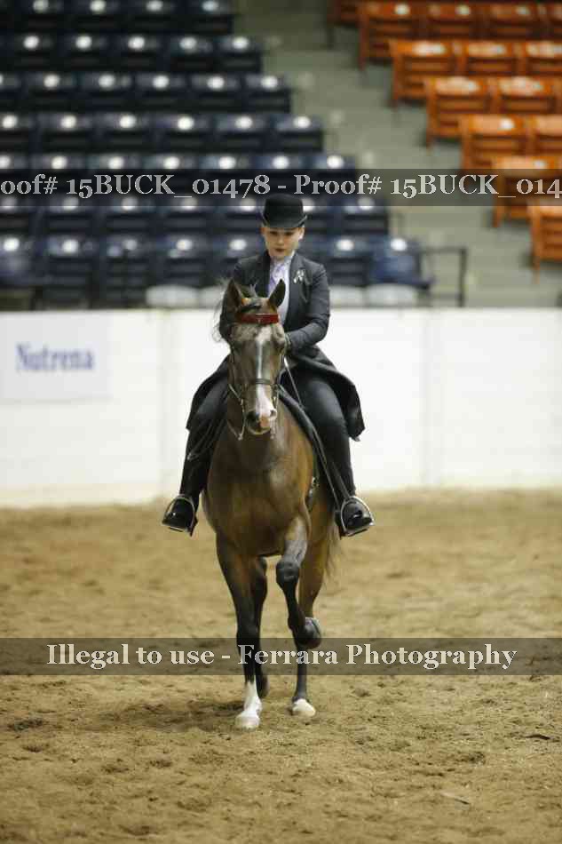 Proof 15BUCK_01478