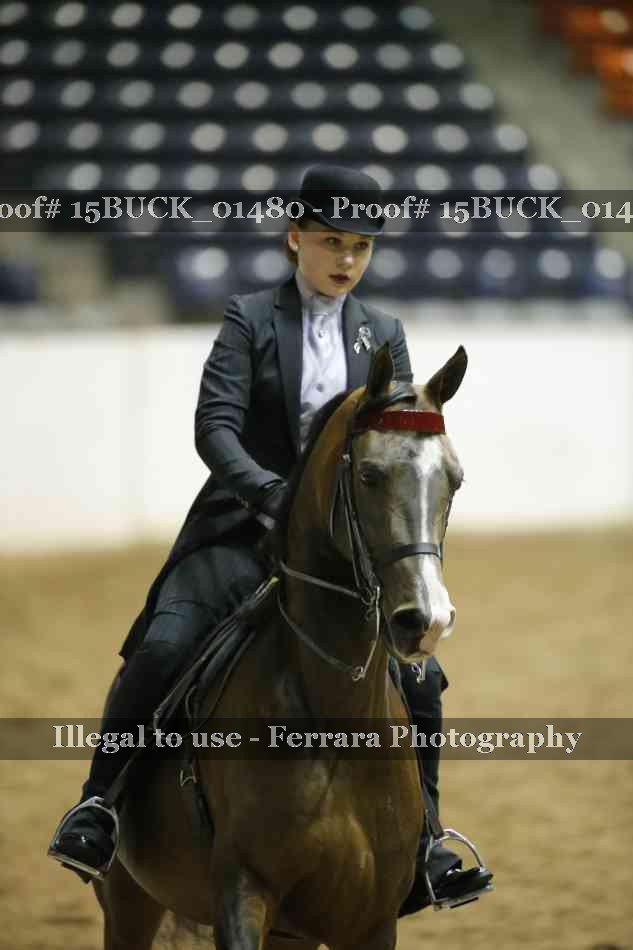 Proof 15BUCK_01480