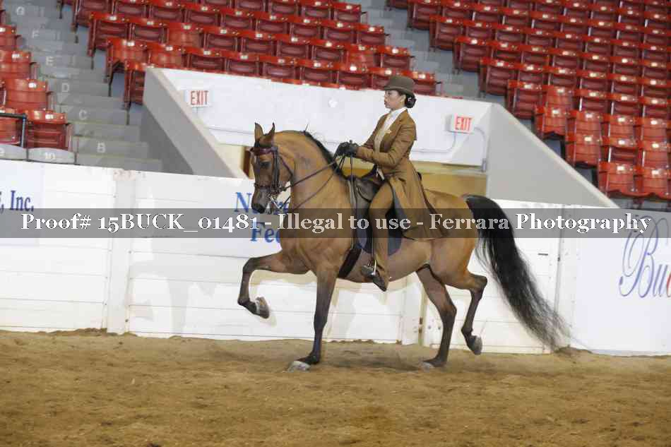 Proof 15BUCK_01481