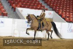 15BUCK_01481 proof