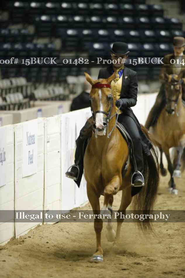 Proof 15BUCK_01482