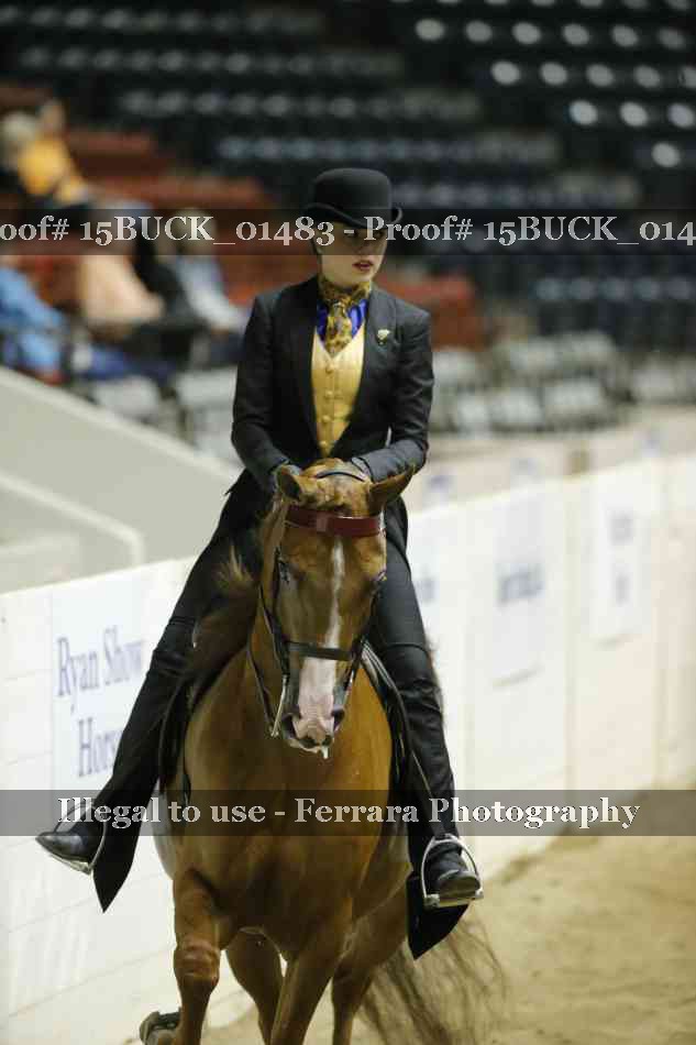 Proof 15BUCK_01483