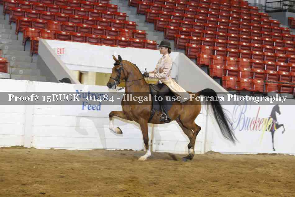 Proof 15BUCK_01484