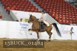 15BUCK_01484 proof