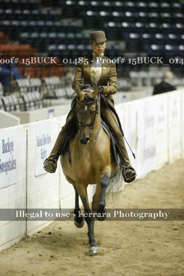 Proof 15BUCK_01485
