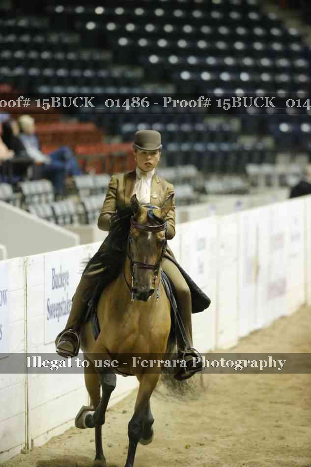 Proof 15BUCK_01486