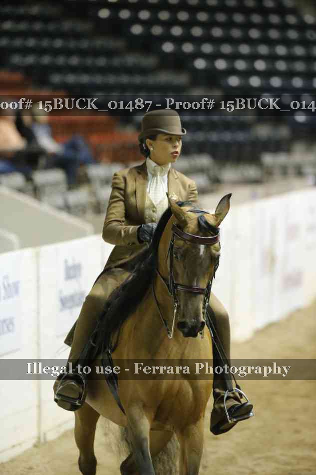 Proof 15BUCK_01487