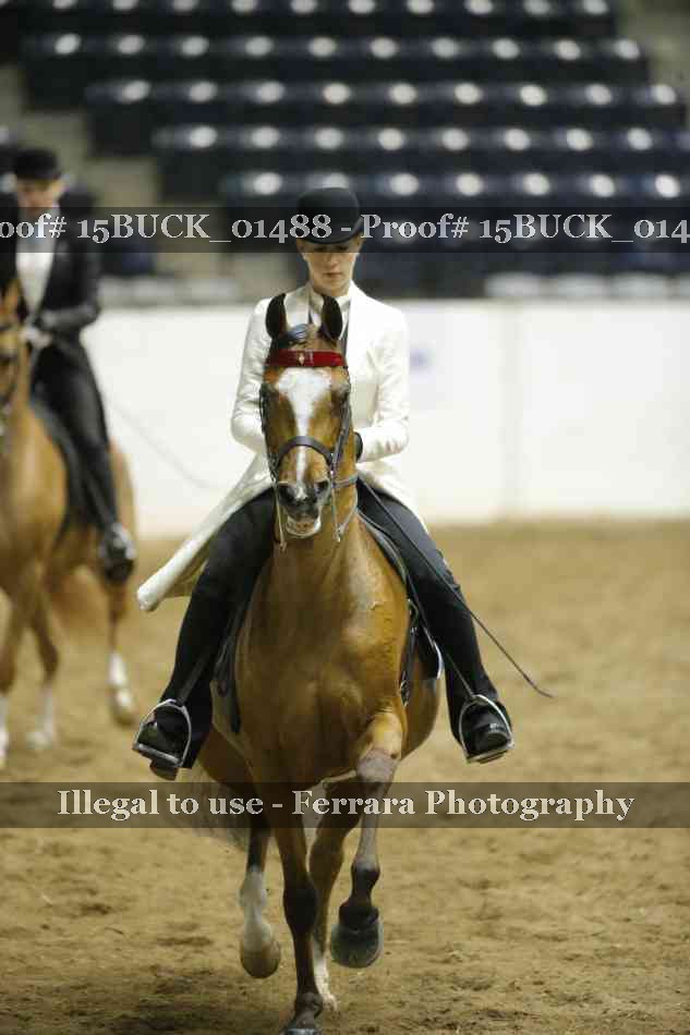 Proof 15BUCK_01488
