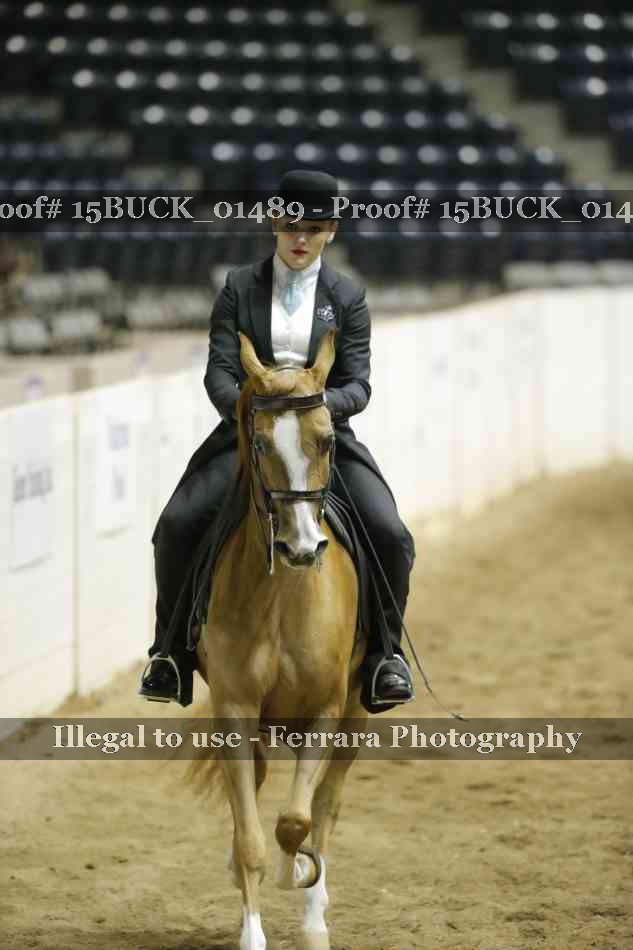 Proof 15BUCK_01489