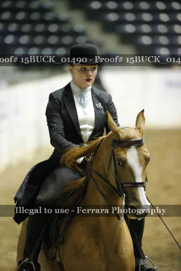 Proof 15BUCK_01490