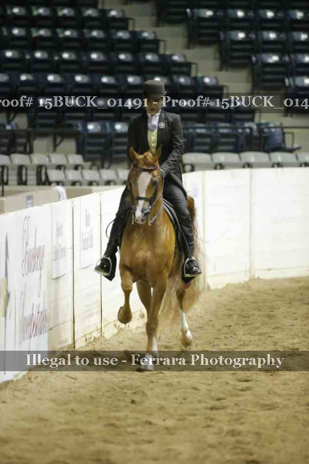 Proof 15BUCK_01491