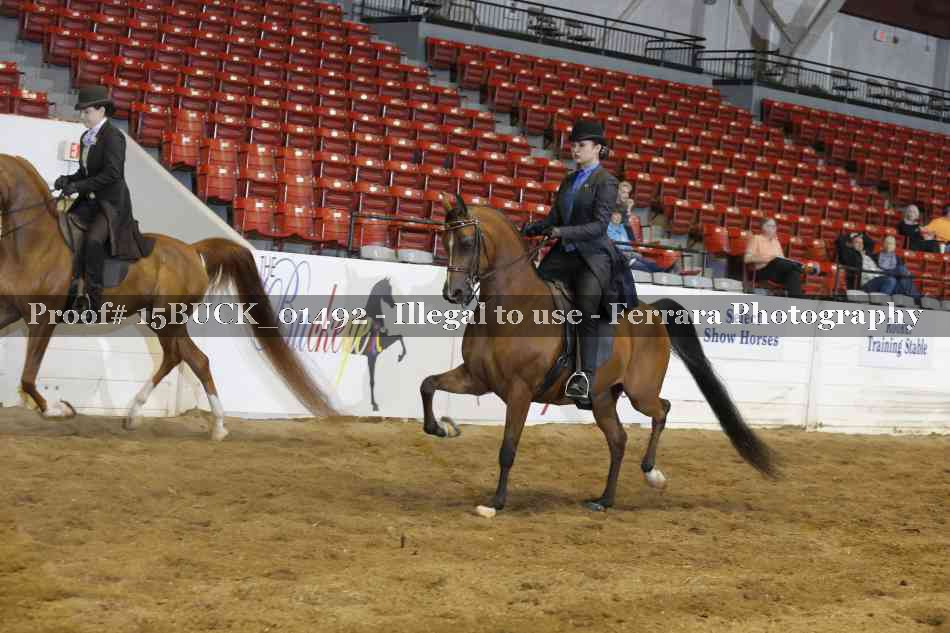 Proof 15BUCK_01492