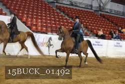 15BUCK_01492 proof