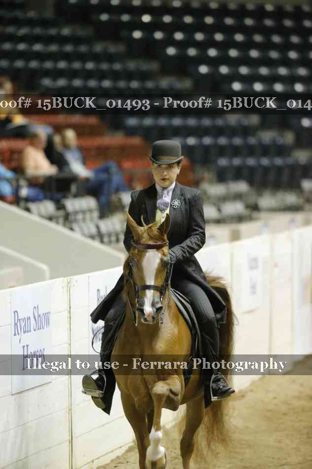 Proof 15BUCK_01493