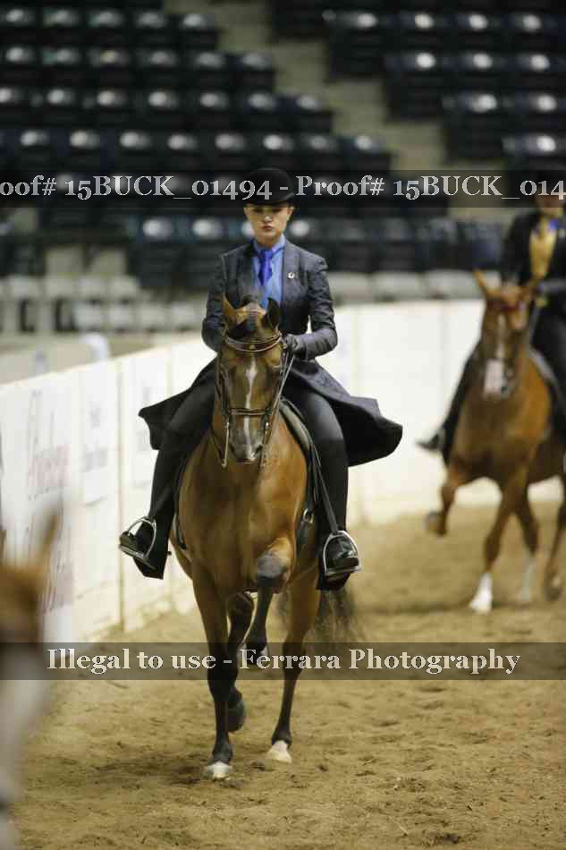 Proof 15BUCK_01494