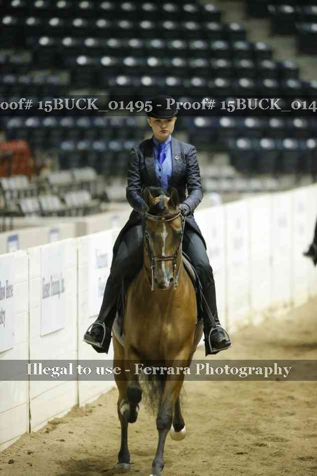 Proof 15BUCK_01495