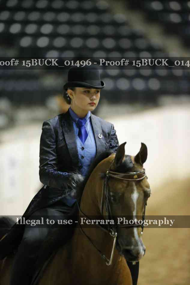 Proof 15BUCK_01496