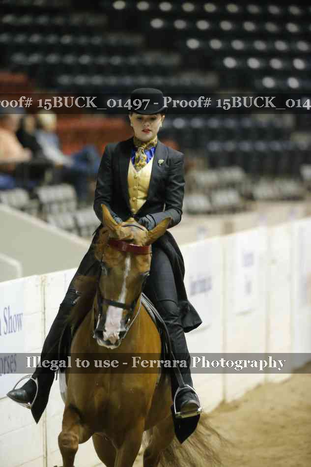 Proof 15BUCK_01497