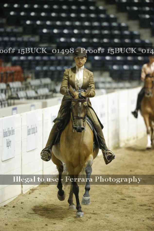 Proof 15BUCK_01498