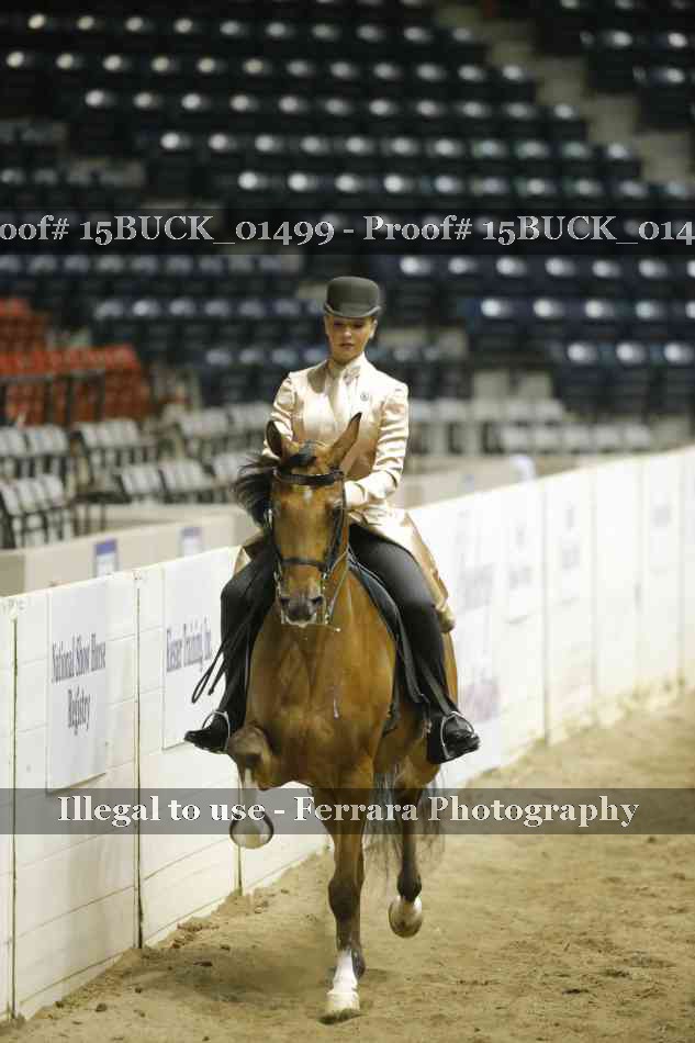 Proof 15BUCK_01499