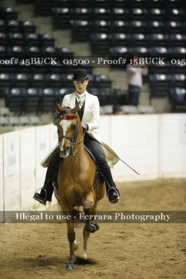 Proof 15BUCK_01500