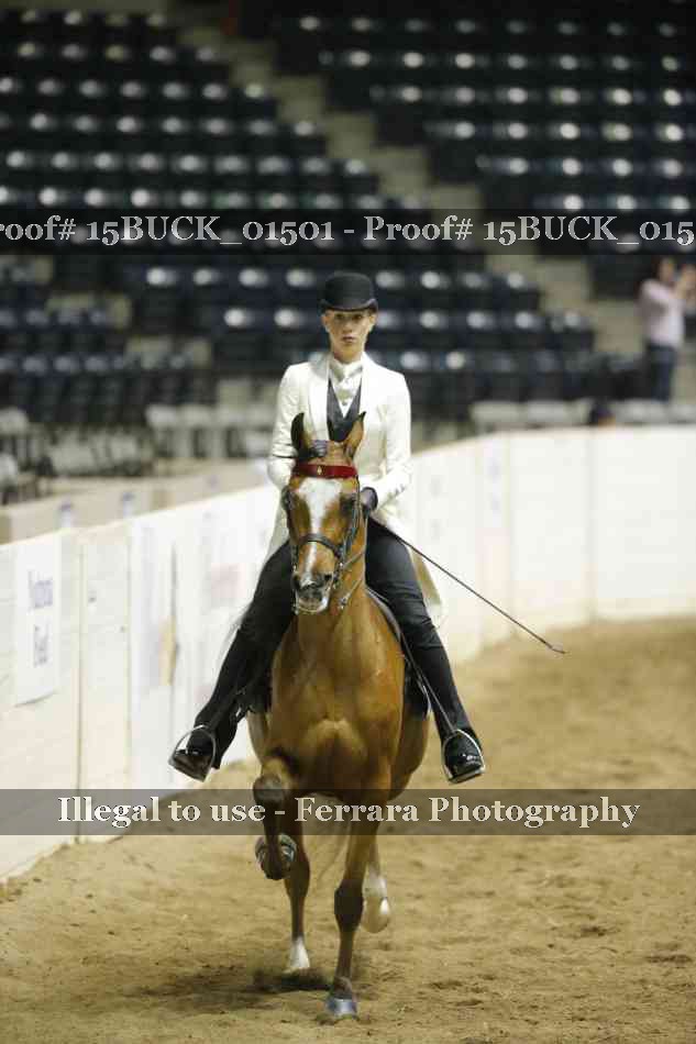 Proof 15BUCK_01501
