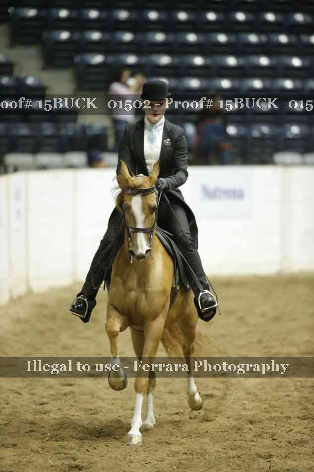 Proof 15BUCK_01502