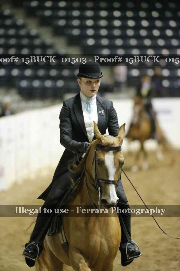 Proof 15BUCK_01503