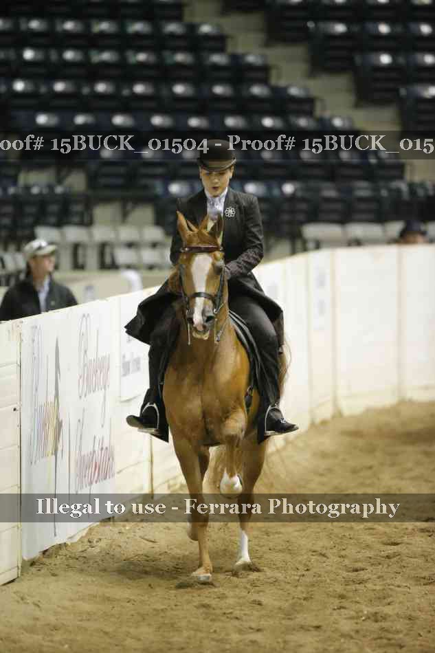 Proof 15BUCK_01504