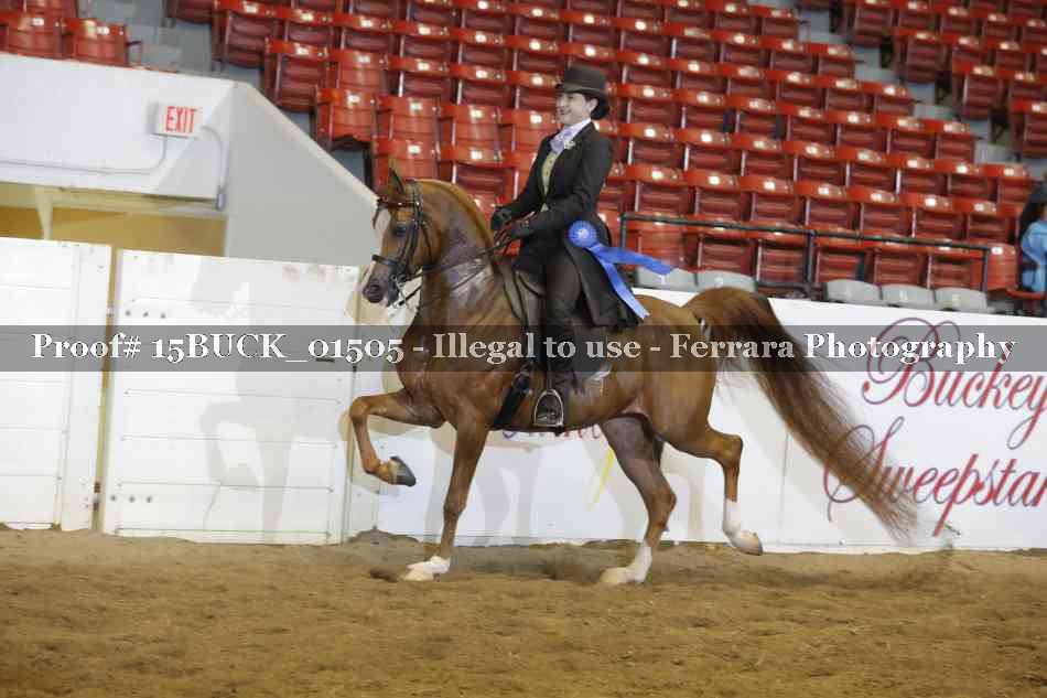 Proof 15BUCK_01505