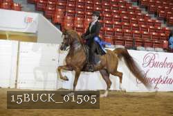 15BUCK_01505 proof