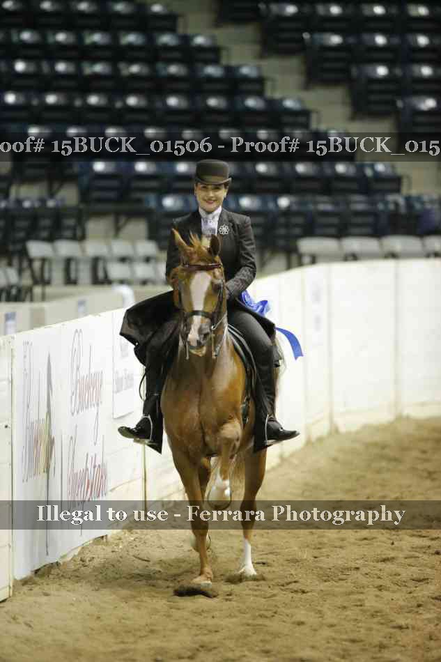 Proof 15BUCK_01506