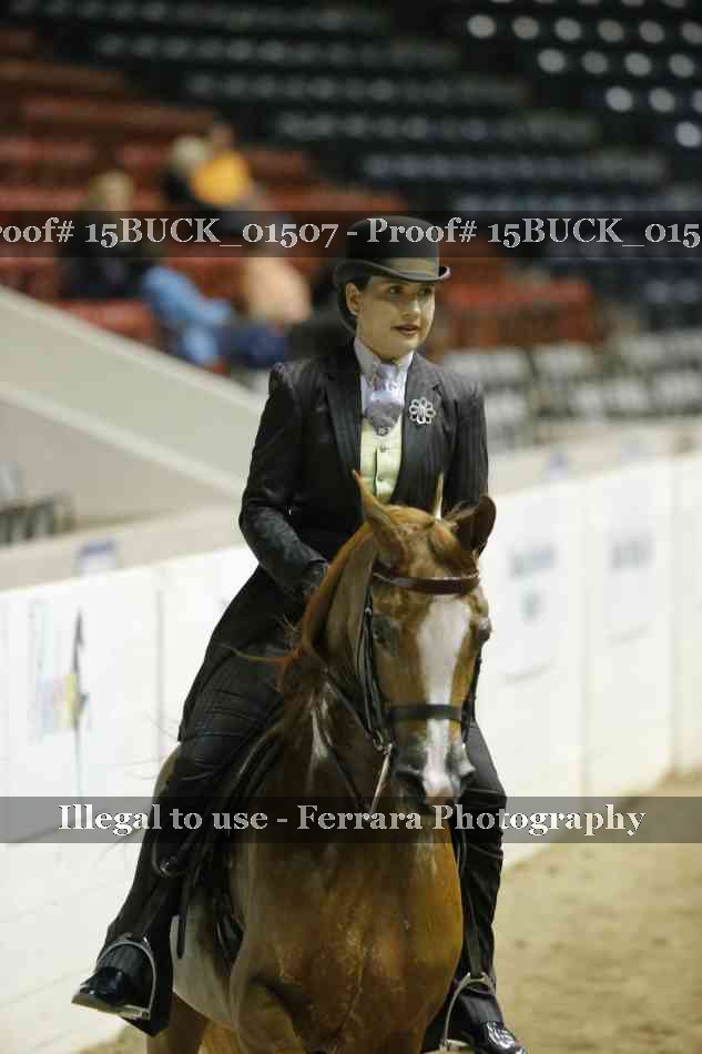 Proof 15BUCK_01507