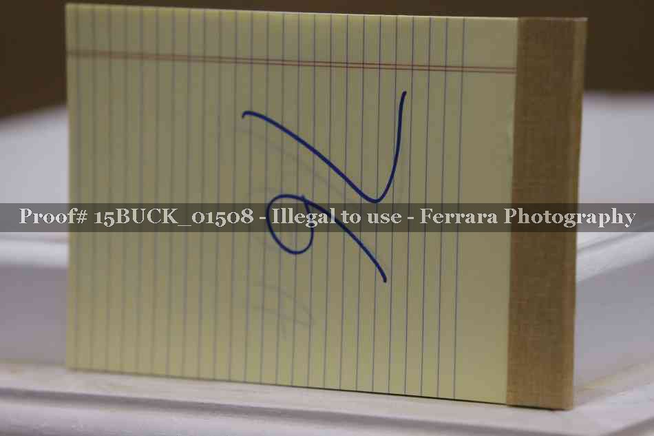 Proof 15BUCK_01508