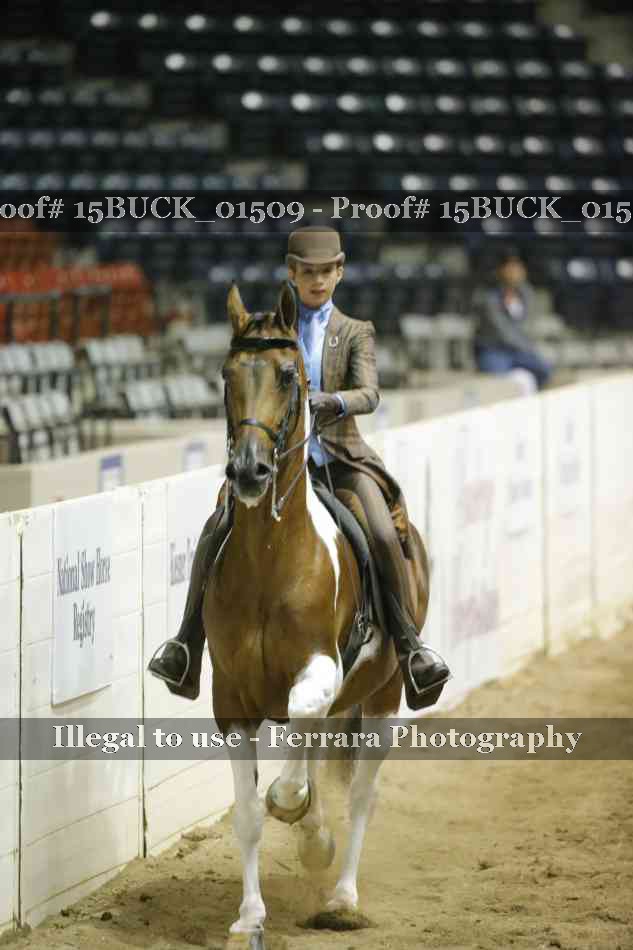 Proof 15BUCK_01509